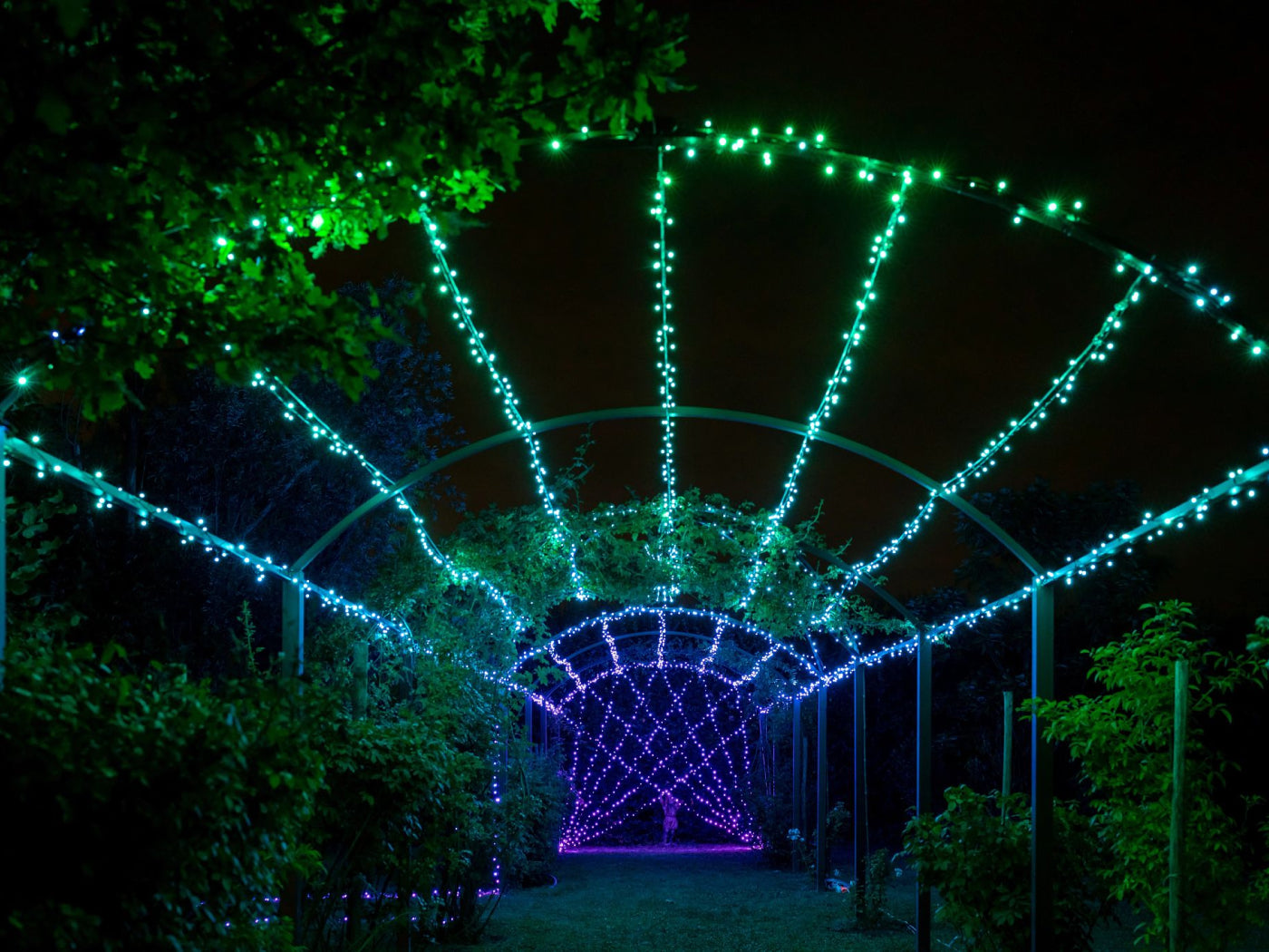 Design the ultimate outdoor lighting with Twinkly Strings