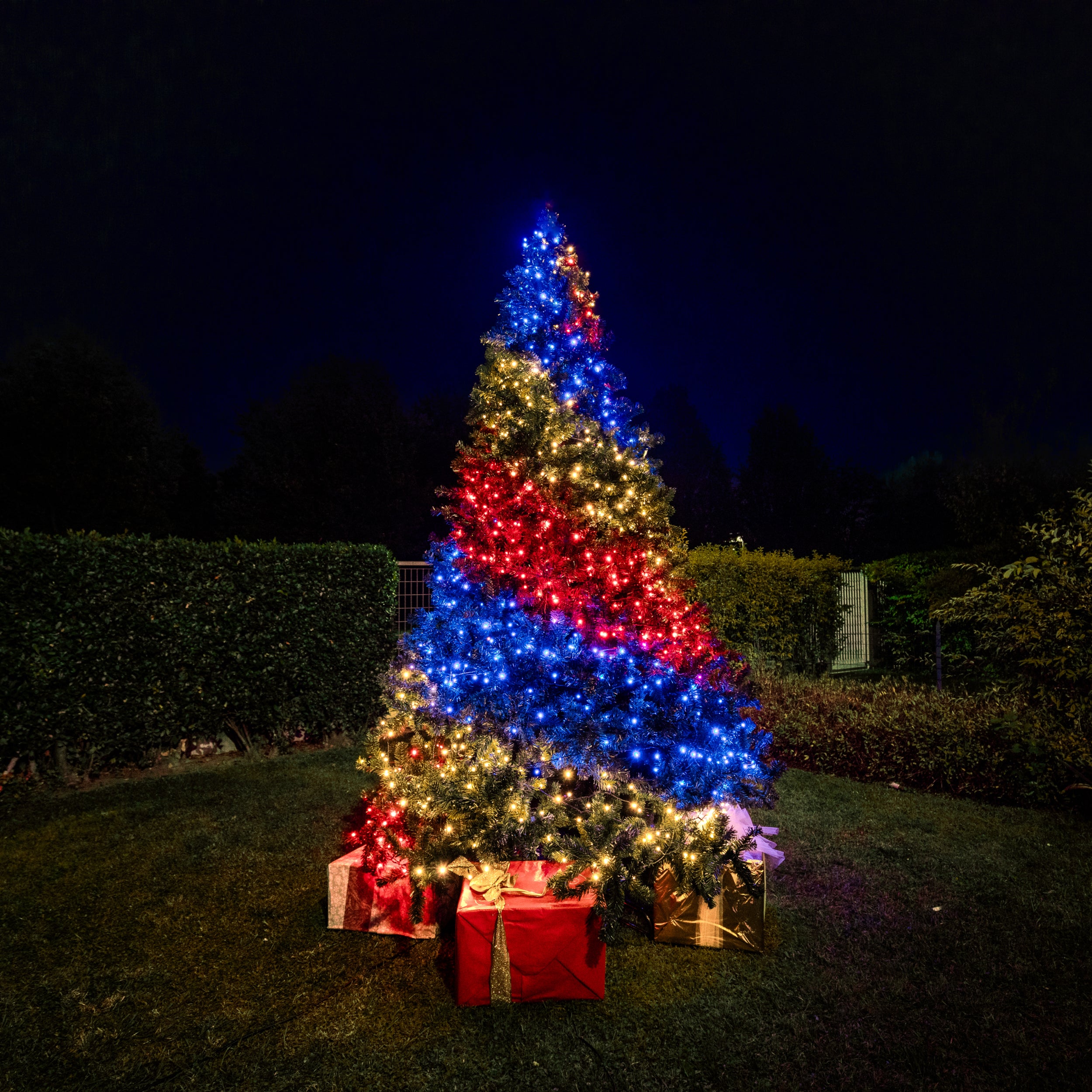 Strings & Controller PLUS Bundle