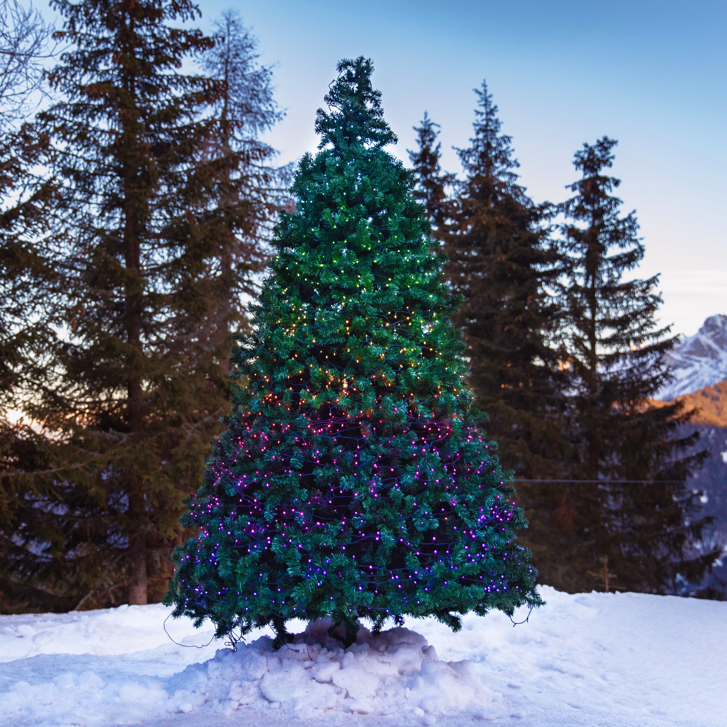 Strings & Controller PLUS Bundle