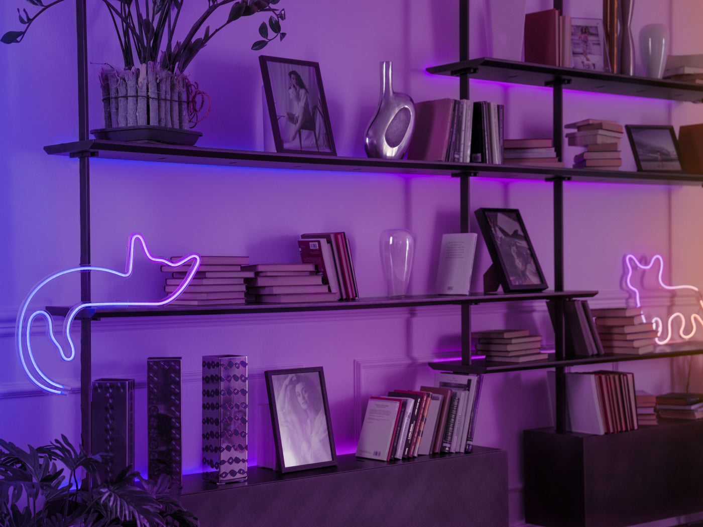 Amazing decorative lighting ideas for book lovers