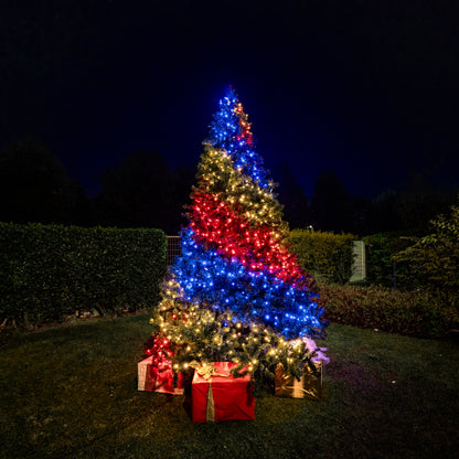 Strings & Controller PLUS Bundle