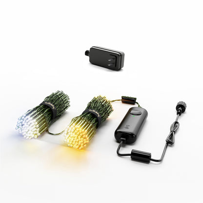 Strings Gold & Silver