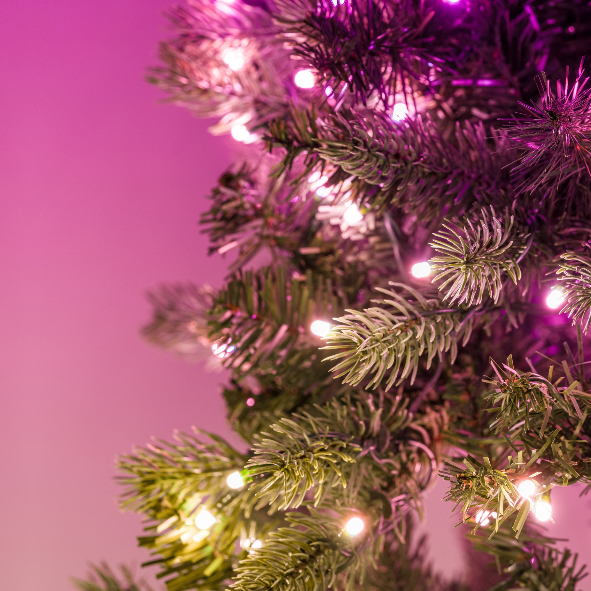 Pre-lit Christmas Tree with Smart LED Lights | Twinkly