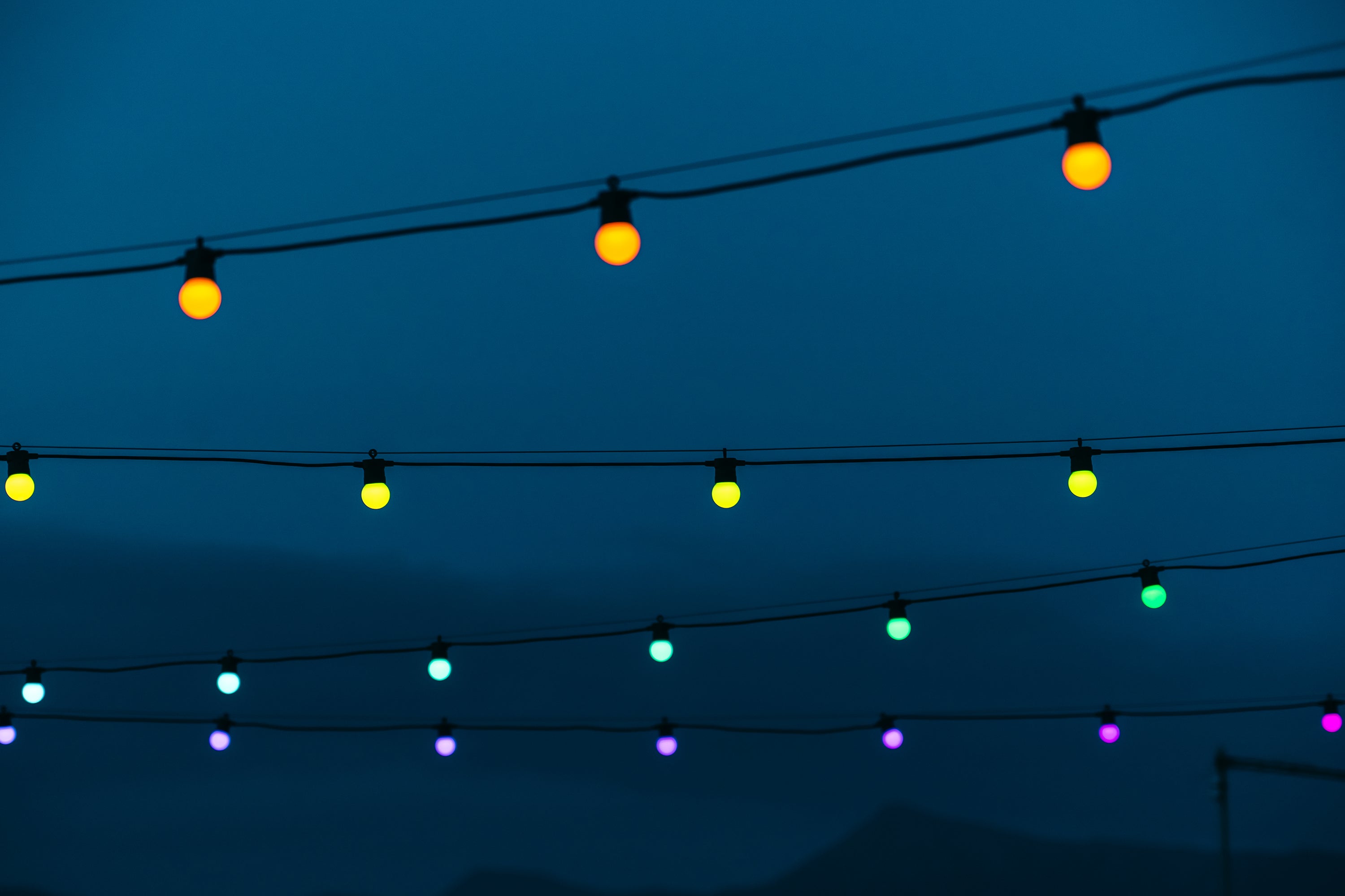 Festoon Multicolor