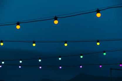 Festoon Multicolor