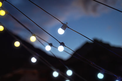 Festoon Gold & Silver