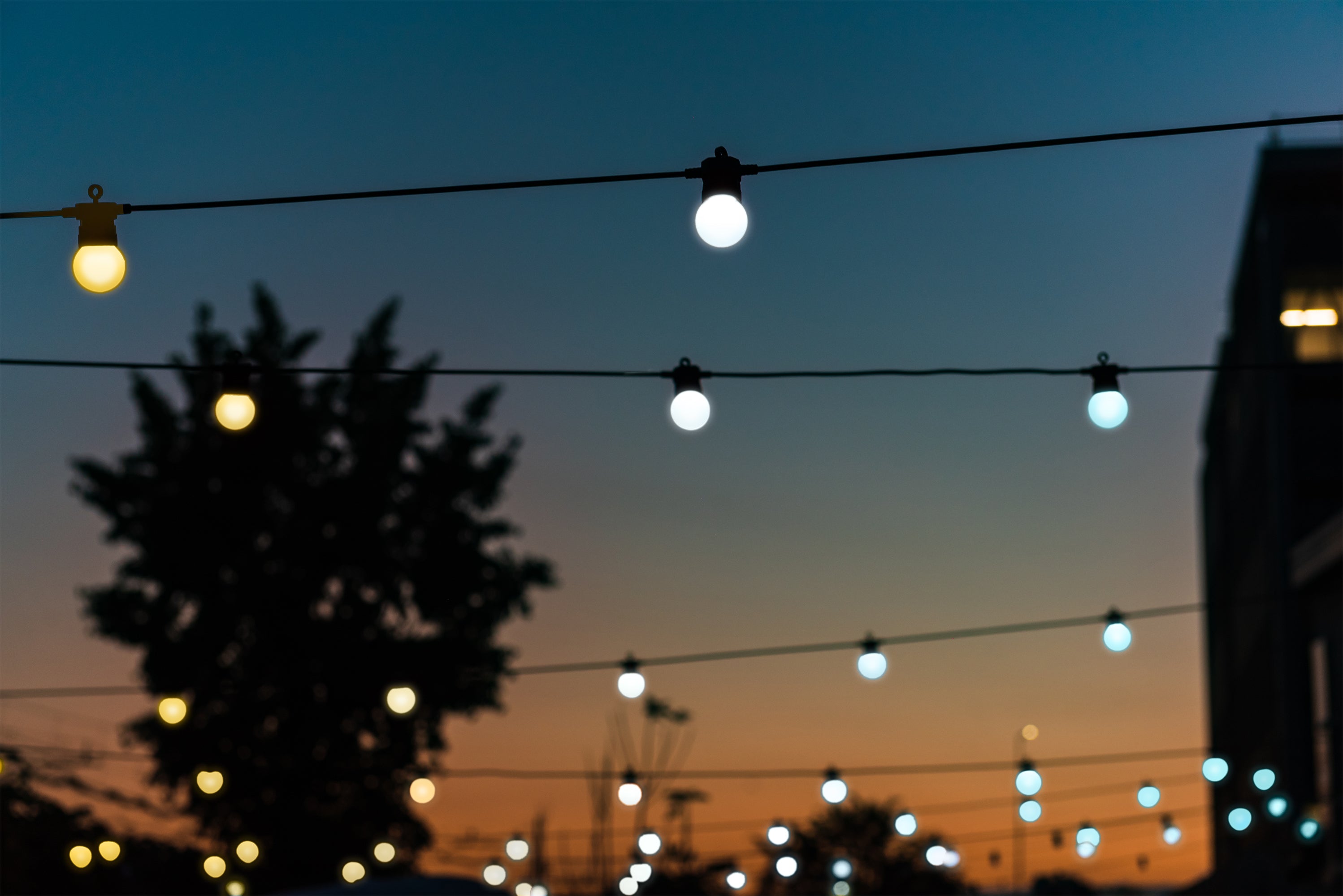 Festoon Gold & Silver